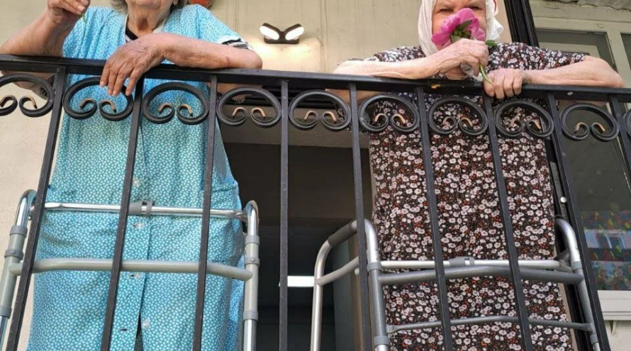 Пансионат "Дом бабушек и дедушек"