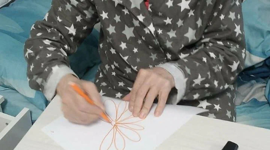 Пансионат "Дом бабушек и дедушек"