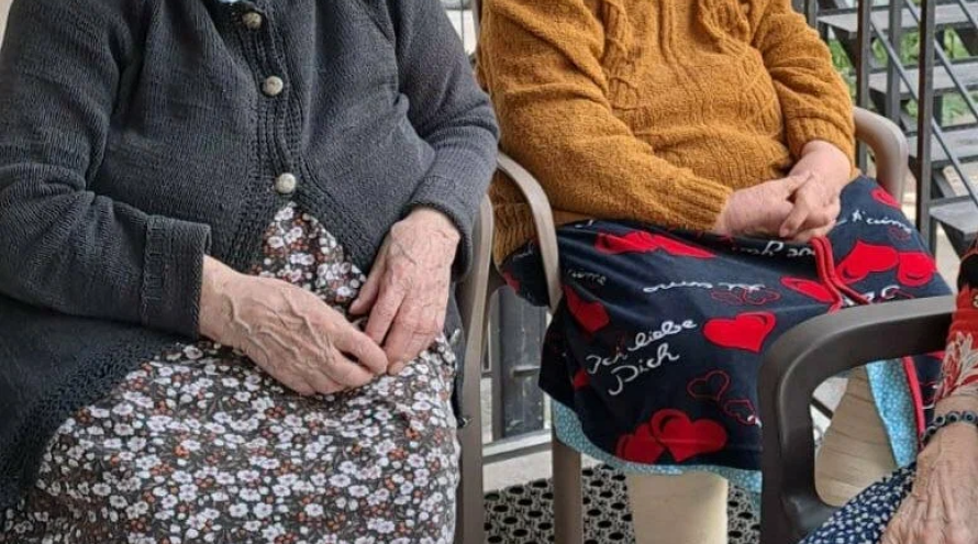 Пансионат "Дом бабушек и дедушек"