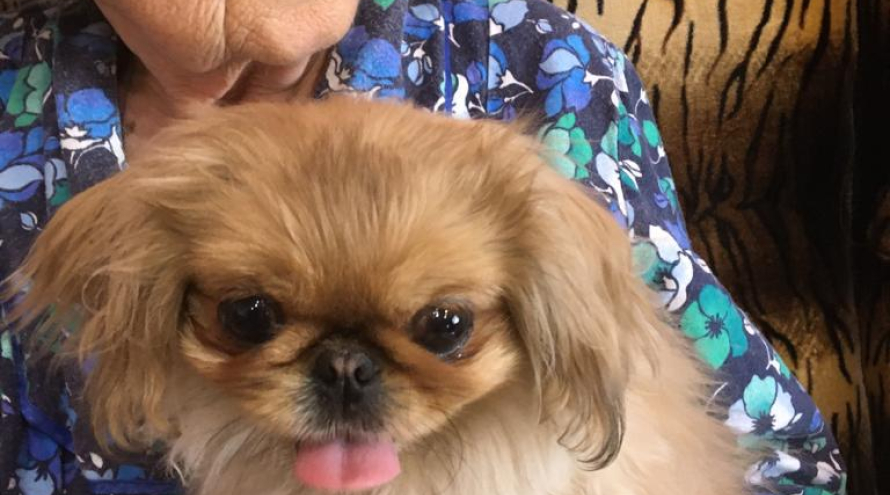 Пансионат Забота и Уют