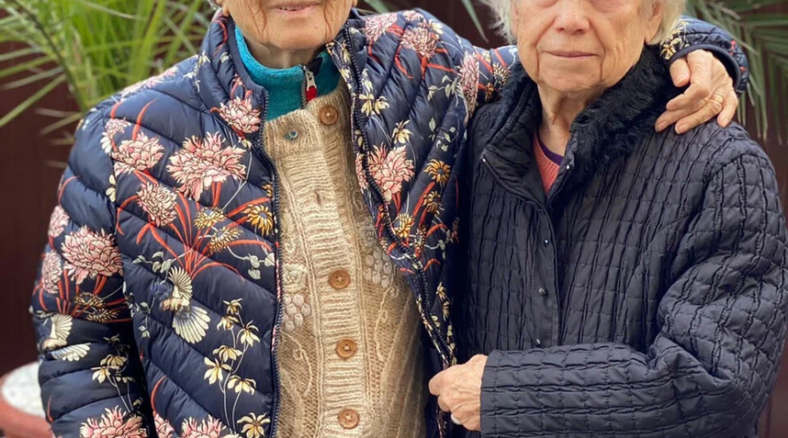 Новая жизнь