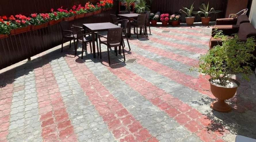 Новая жизнь