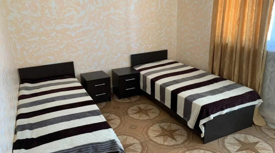 Новая жизнь